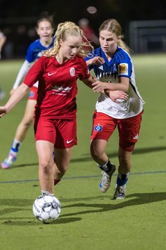 Bild 349 - wBJ Eimsbuettler TV - Hamburger SV : Ergebnis: 1:2